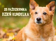 DZIEŃ KUNDELKA